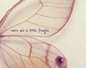 We're all a little fragile 24x36
