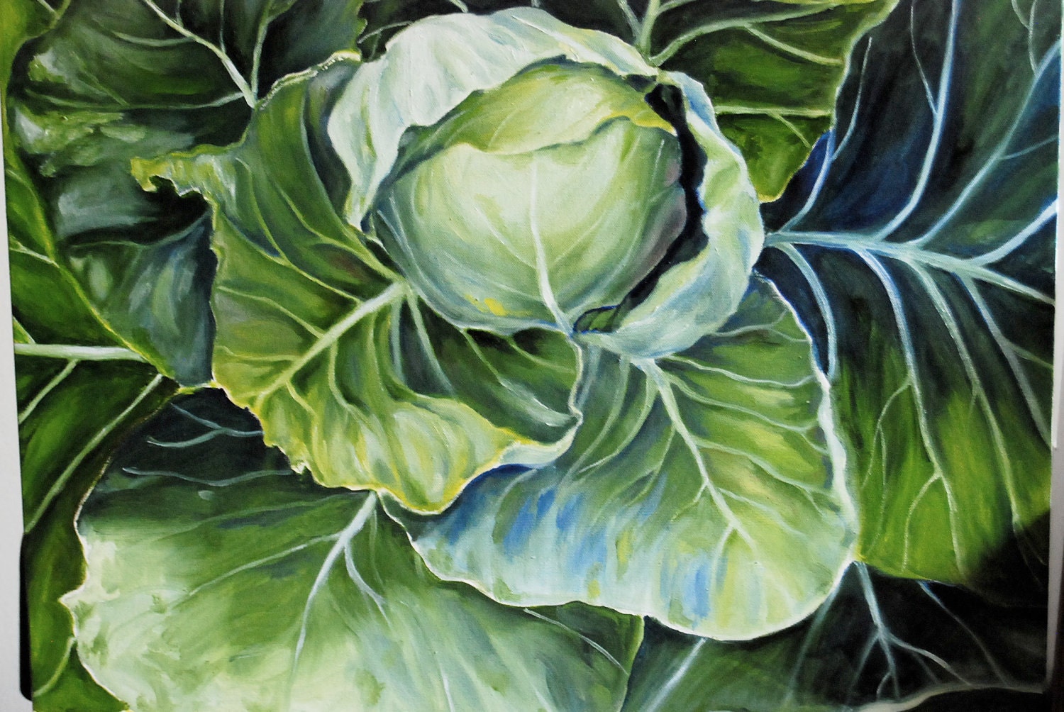 Green Cabbage in Oil - 22"x28" Print 1/100