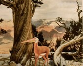 Art Note Cards, Box of 6, Grand Canyon gets quirky