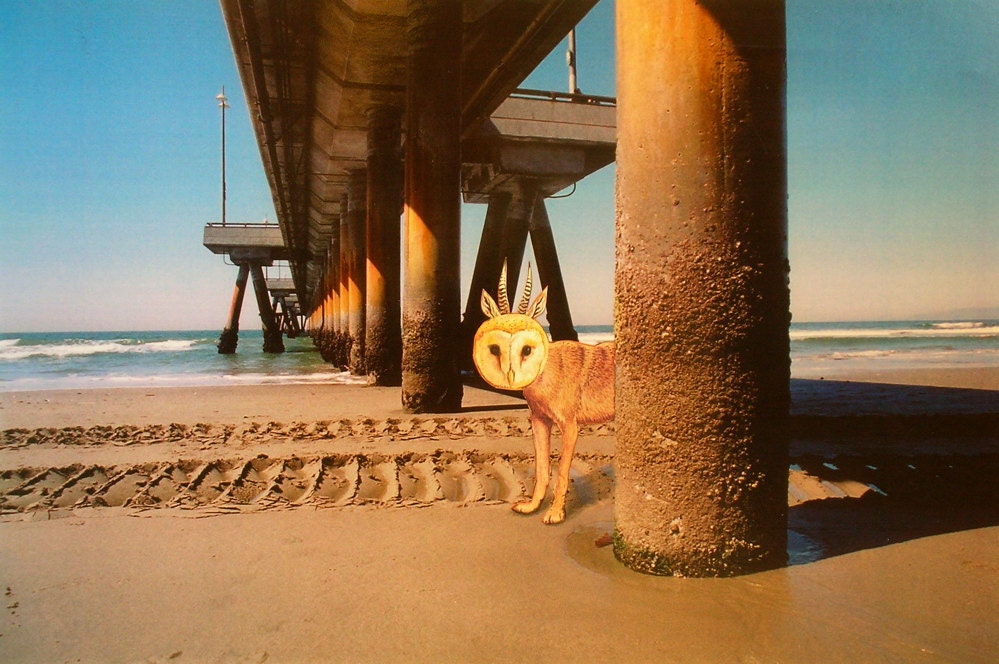 Canvas Print,Animal Art, Under The Venice Pier , Gallery Wrapped,11'x14'