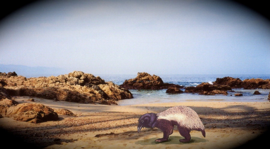 Hybrid Creature,Print,HoneyCrow On The Sea Shore in Mexico,Signed art print, 8x10