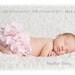 Pink Ruffle Diaper Cover Panty Sassy Pants Brown Cream White Red Lavender Blue & All Colors Available