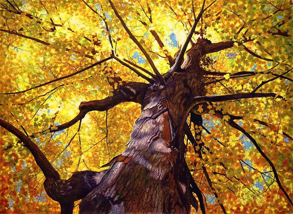 Golden tree watercolor  painting print, by Cathy Hillegas, Transcendence, autumn, fall, yellow, orange, red, green, brown, purple, blue