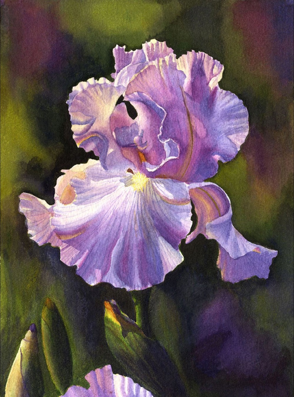 Purple Iris art watercolor painting print by Cathy Hillegas, 11x14 watercolor floral, lilac, blue, gold, yellow, green