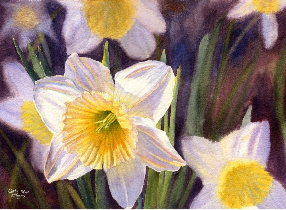 white daffodils watercolor print of original painting by Cathy Hillegas - CathyHillegas