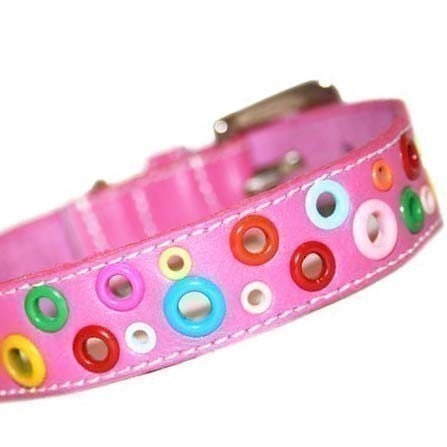 XL Loki Puppy Leather Dog Collar - Punk Pink
