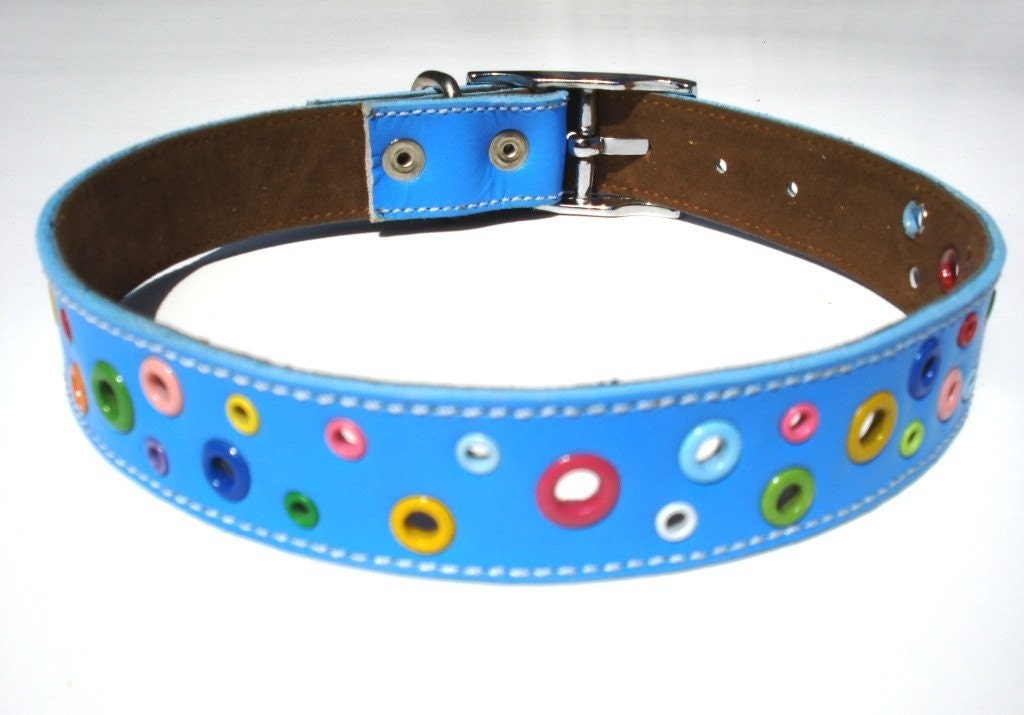 XL Loki Puppy Leather Dog Collar Sky Blue