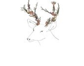 Deer, flowers. 8x10 print