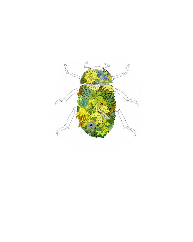 Beetle, flowers. 8x10 print