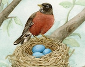 Bird Tree with Robin - 8x10 archival watercolor print by Tracy Lizotte