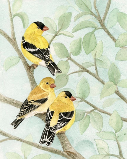 Bird Tree with Goldfinches - 8x10 archival watercolor print by Tracy Lizotte
