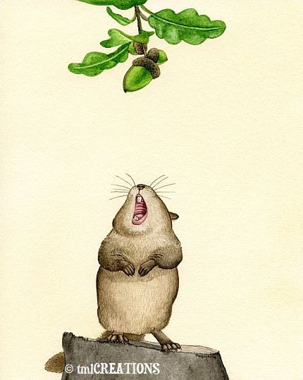 Yummy Acorn - 5x7 archival watercolor print by Tracy Lizotte