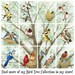 Bird Tree with Chickadees - 8x10 archival watercolor print by Tracy Lizotte