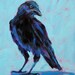 Black Crow - Original Painting - 8x10
