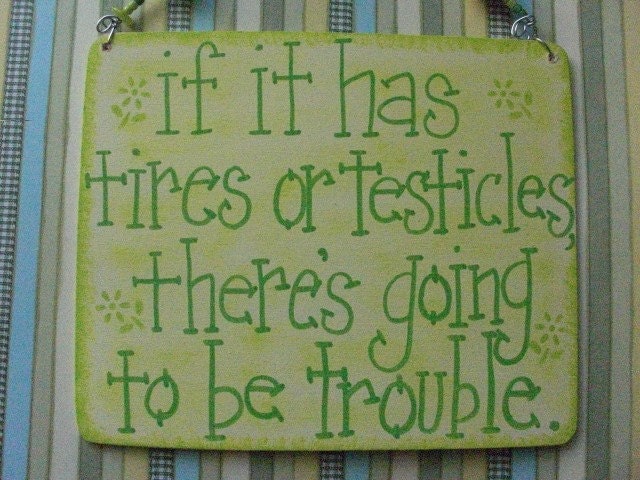 if it has tires or testicles, there's going to be trouble sign