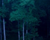 The Blue Hour 8x10