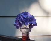 Of Shadows and Light 8x10