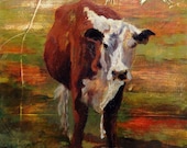Herford Cow brown and white cow 8.5 x 11 PRINT image is 9.25 x 8 inches toomalatai red cow brown cow green childrens room art cow decor