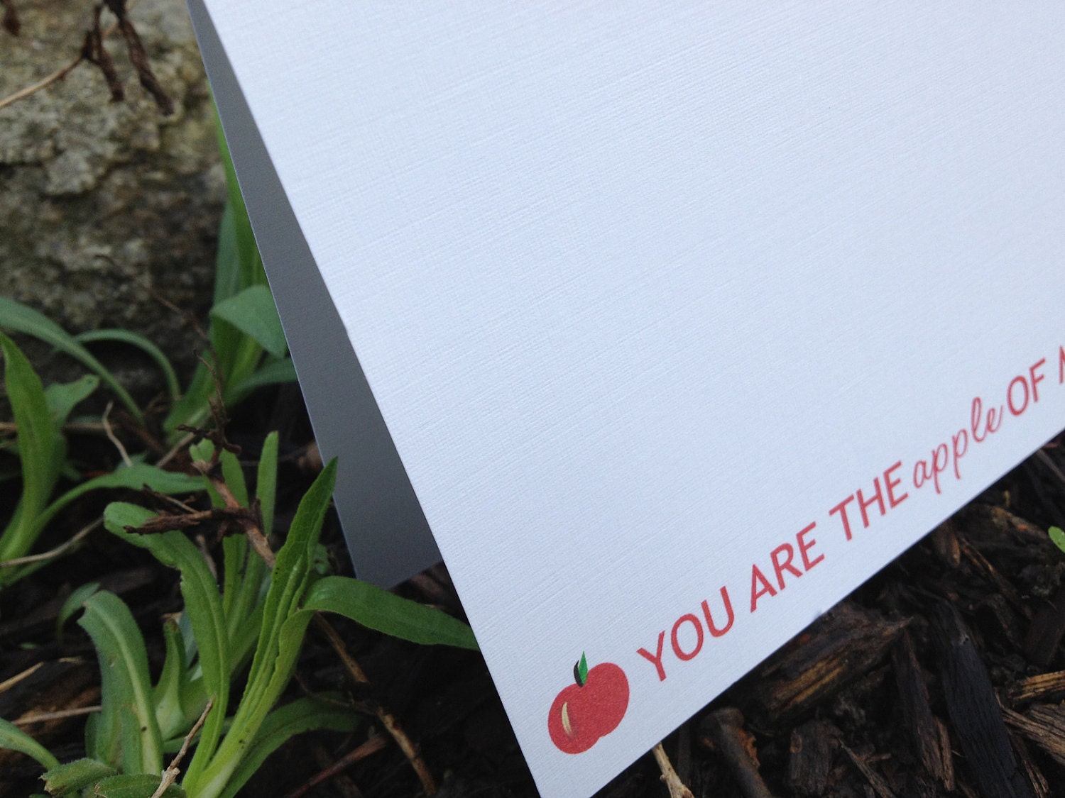 Apple of my eye note cards (set of 10) Il_170x135