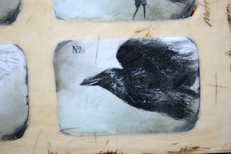 Notes on Crows II - ink drawing and encaustic painting