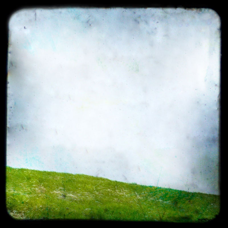 The Field IV - Original FIne Art Photograph
