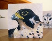 Print on Wood - Falcon