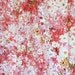 Pink Curtains Pinch Pleat Hot White Flowers Daisy Thermal Drapes Window Covering