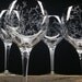 4 Red Wine Glasses . Hand Engraved Crystal Glass . 'Branches And Leaves' . Bridal Party Gift Spring Glassware
