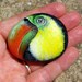 TOUCAN hand painted sea stone.