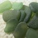 Sea glass Seaglass -- 10 Herb Garden Pendant Charm Seaglass Gems (SG688) Fresh and Lively