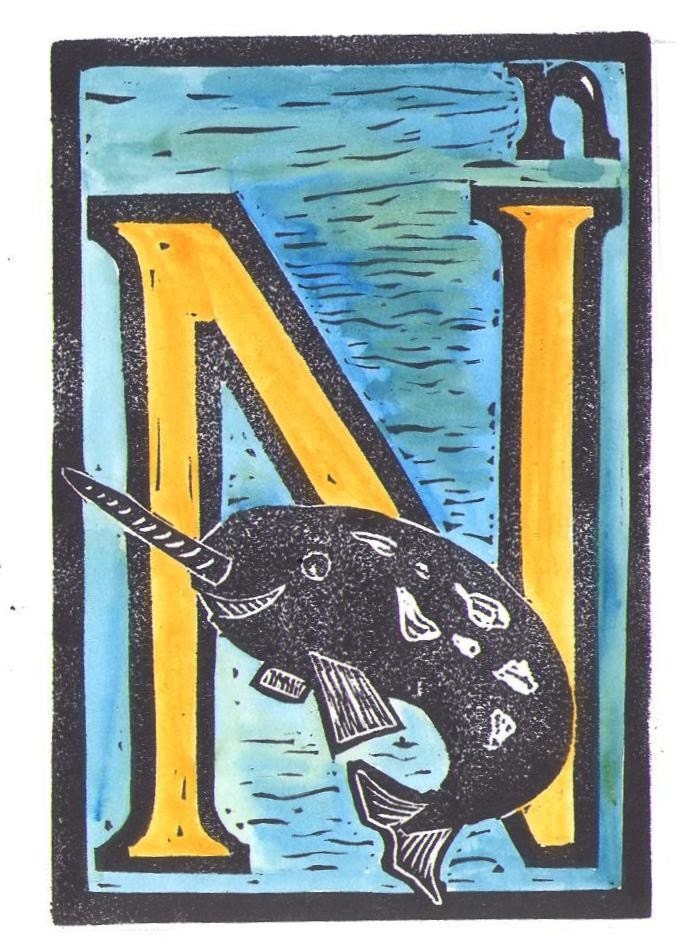 N is for Narwhal framed alphabet print by monster in the closet on etsy