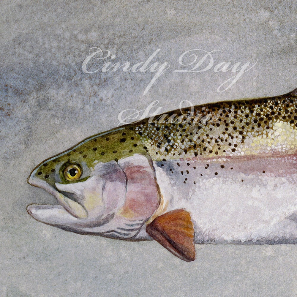 Rainbow Trout Watercolor Giclee Print