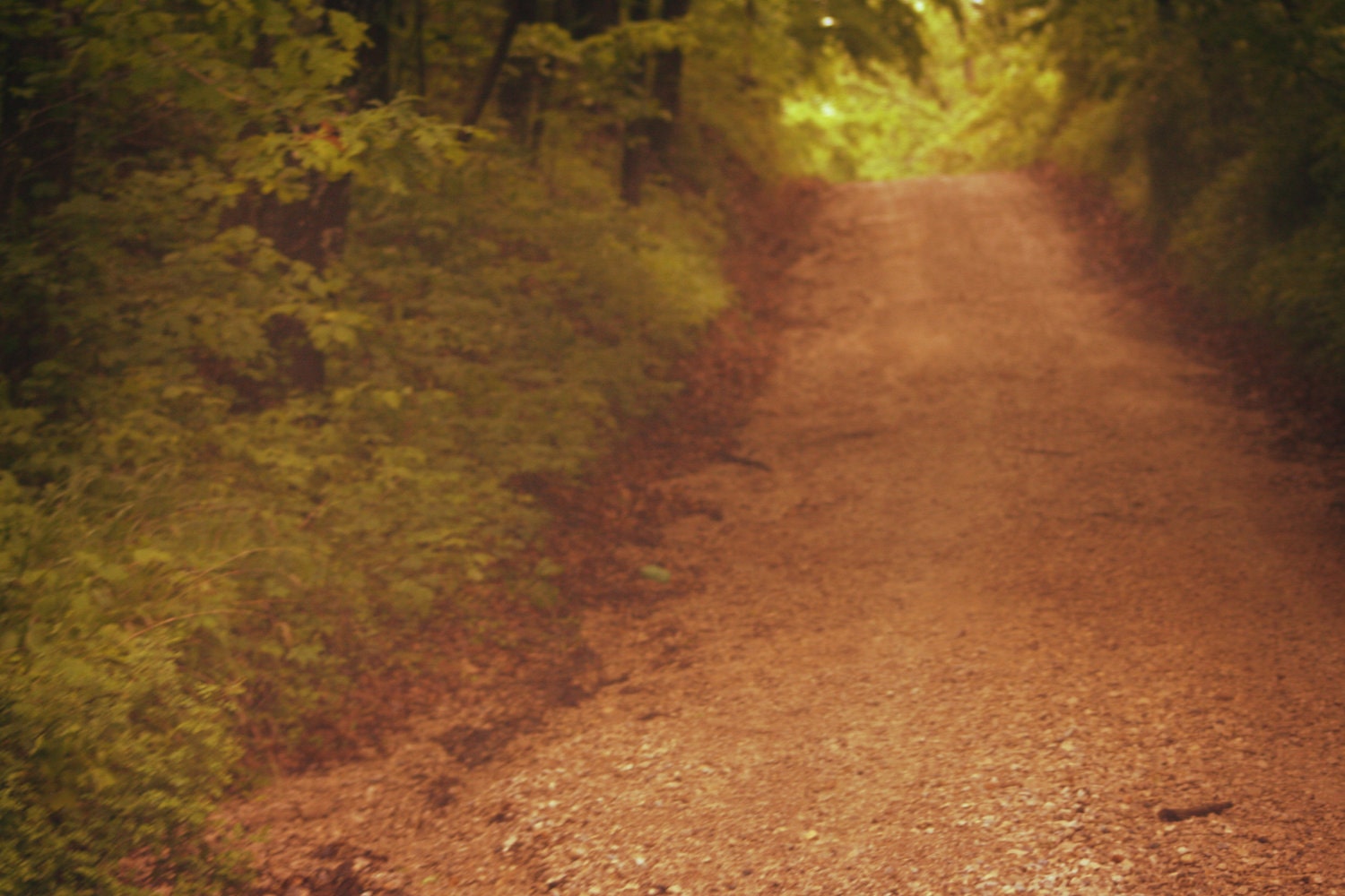 To Love A Road No. 2  4x6 Metallic Print