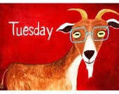 Hipster Goat 8.5"x11" Print
