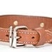 Cone Stud Dog Collar, Leather Dog Collar, Studded Dog Collar, engraved dog collar, personalized collar
