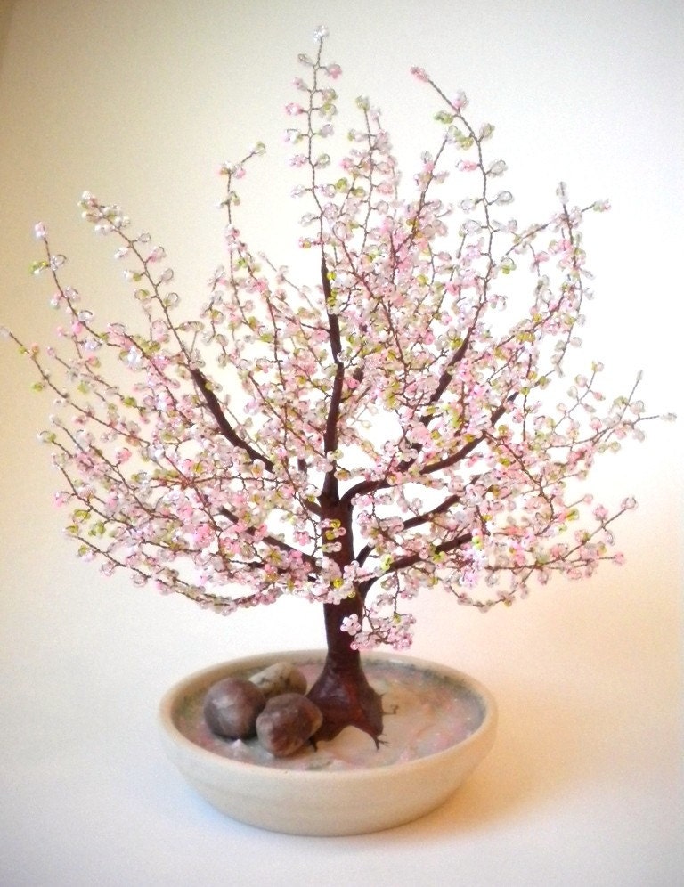 cherry blossom bonsai