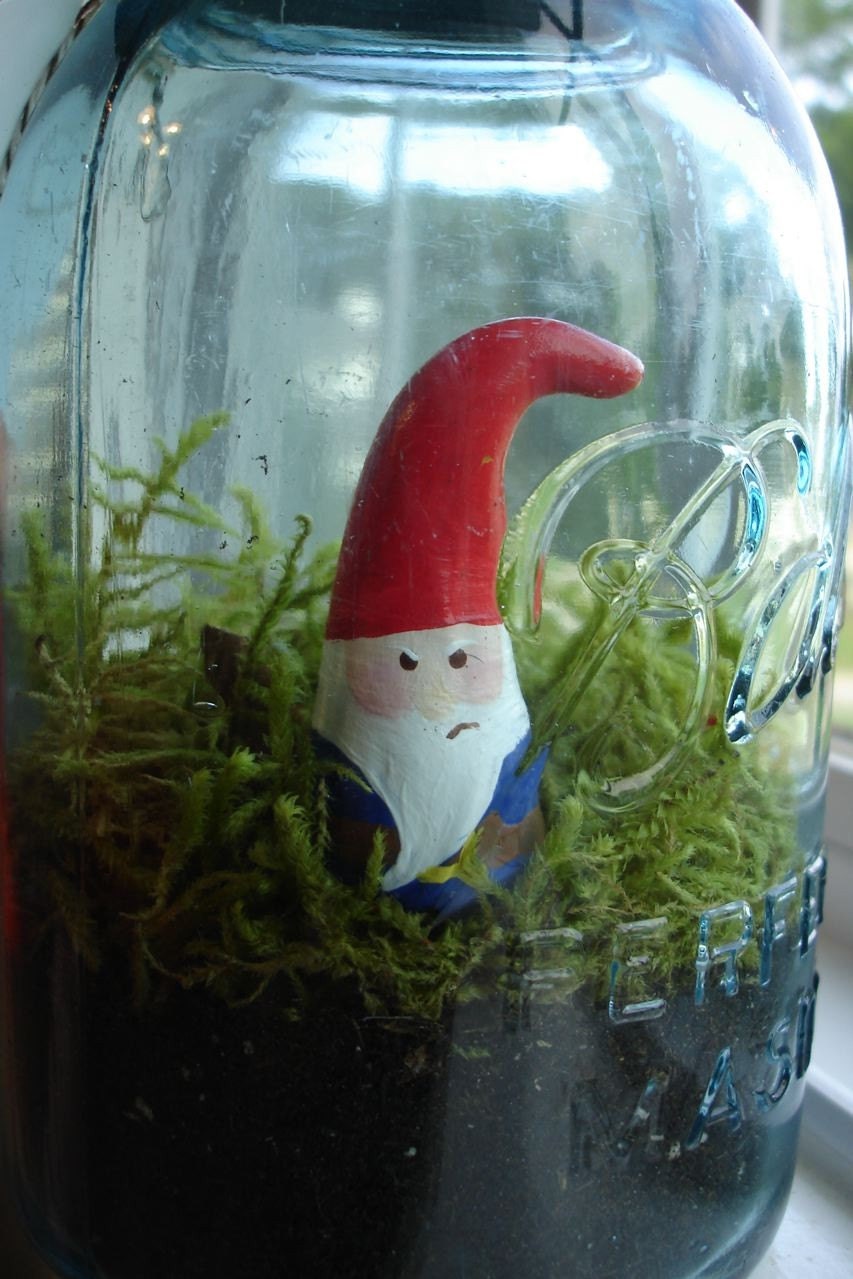 Pickled Gnome - Red Hat