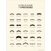 A Field Guide to Typestaches: Volume 1 Poster
