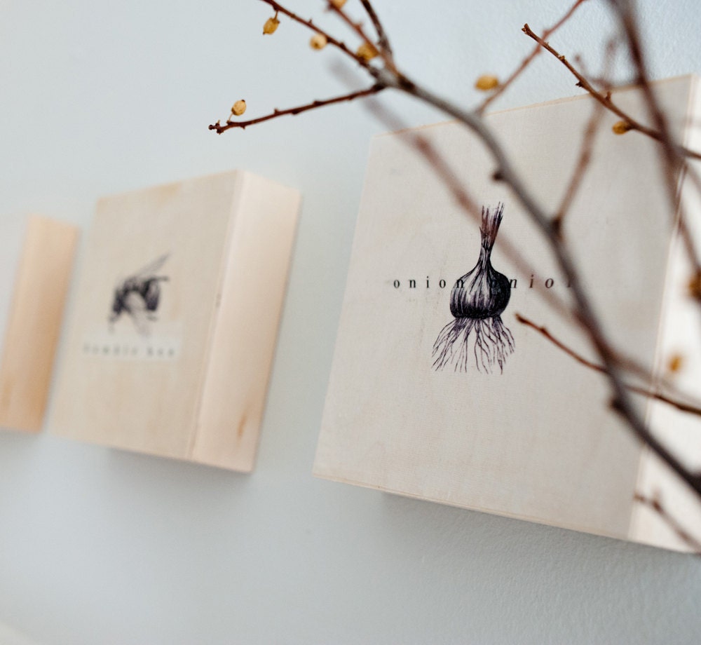 wooden canvases