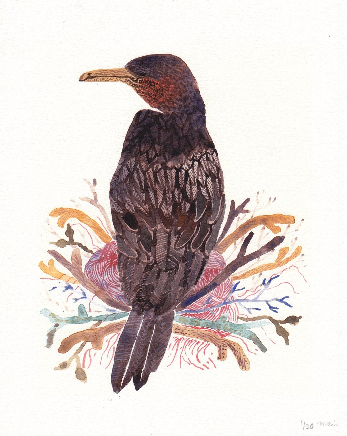Cormorant Nest - Limited Edition Print
