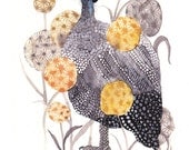 Helmeted Guinea fowl and Dandelions- Archival Print