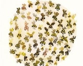 Bees - Large Archival Print