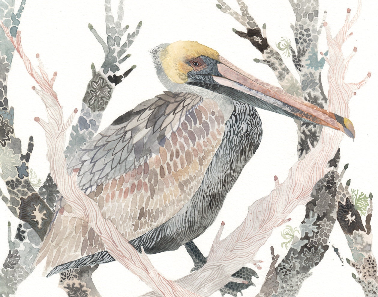 Brown Pelican and Branches No. 2 -Archival Print