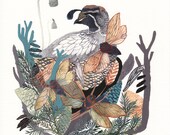 Nesting - 11" x 14"  Archival Print
