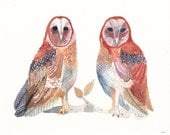 Two Barn Owls - Archival Print