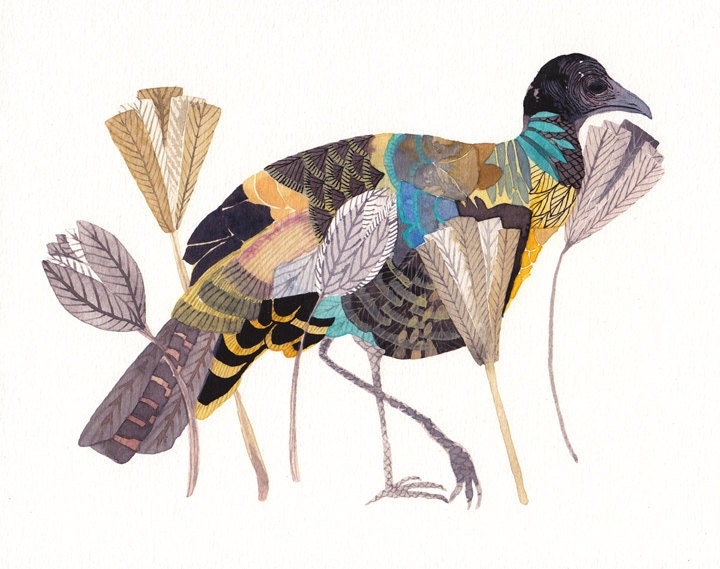 Wild Turkey and Flowers- Archival Print