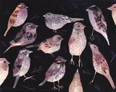 Sparrows at Night - Archival Print