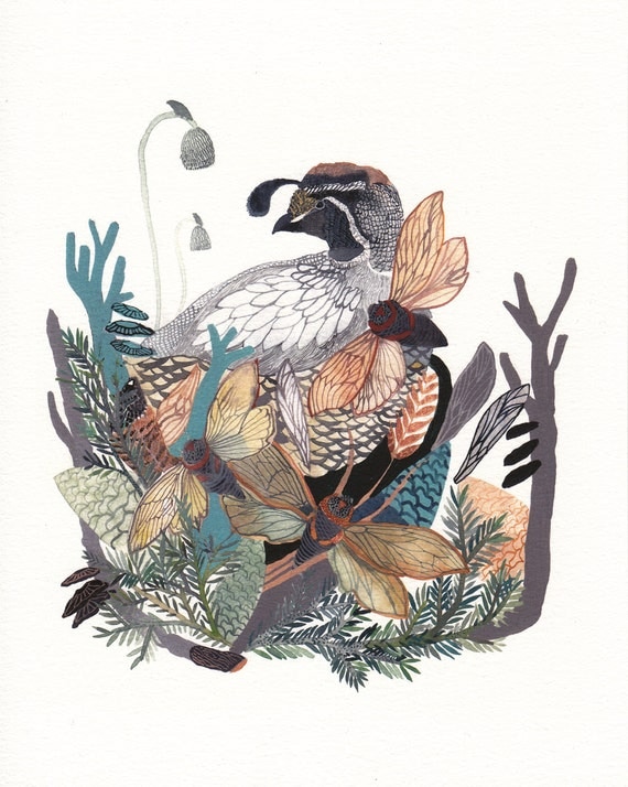 Nesting - 11" x 14"  Archival Print