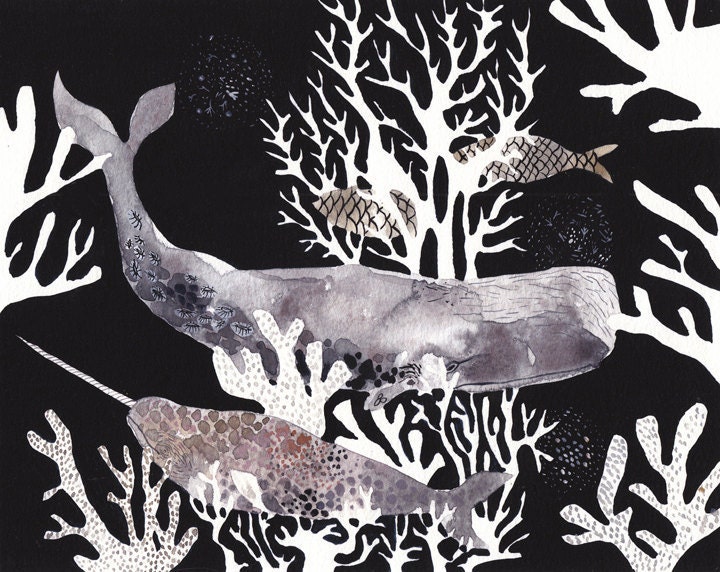Two Whales and Coral - Archival Print
