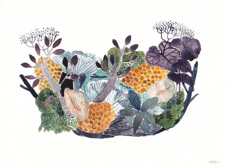 Nest No.4 - Archival Print